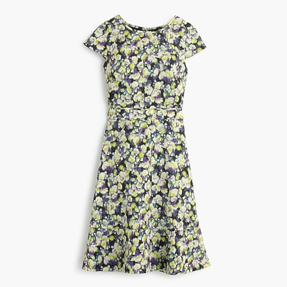 J. Crew Cap Sleeve Dress in Clover Print